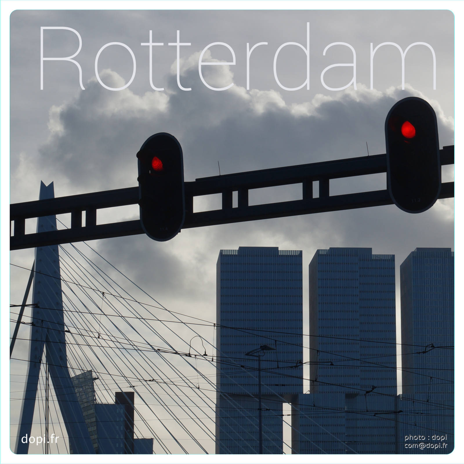 00013 21rot,medium large.2x.1483111478